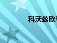 科沃兹欣享版和欣悦版区别