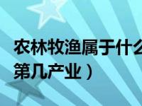 农林牧渔属于什么行业（农林牧渔服务业属于第几产业）