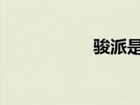 骏派是什么品牌的车