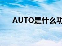 AUTO是什么功能（auto是什么接口）