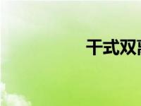 干式双离合变速箱寿命