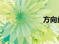 方向盘转向有异响