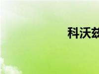 科沃兹eco按键在哪