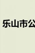 乐山市公积金最新政策（乐山市公积金查询）