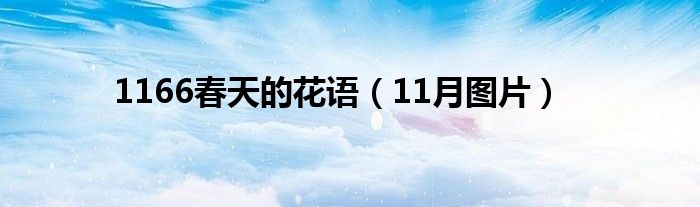 1166春天的花语 11月图片 环球阳光网