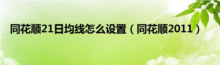 同花顺21日均线怎么设置（同花顺2011）